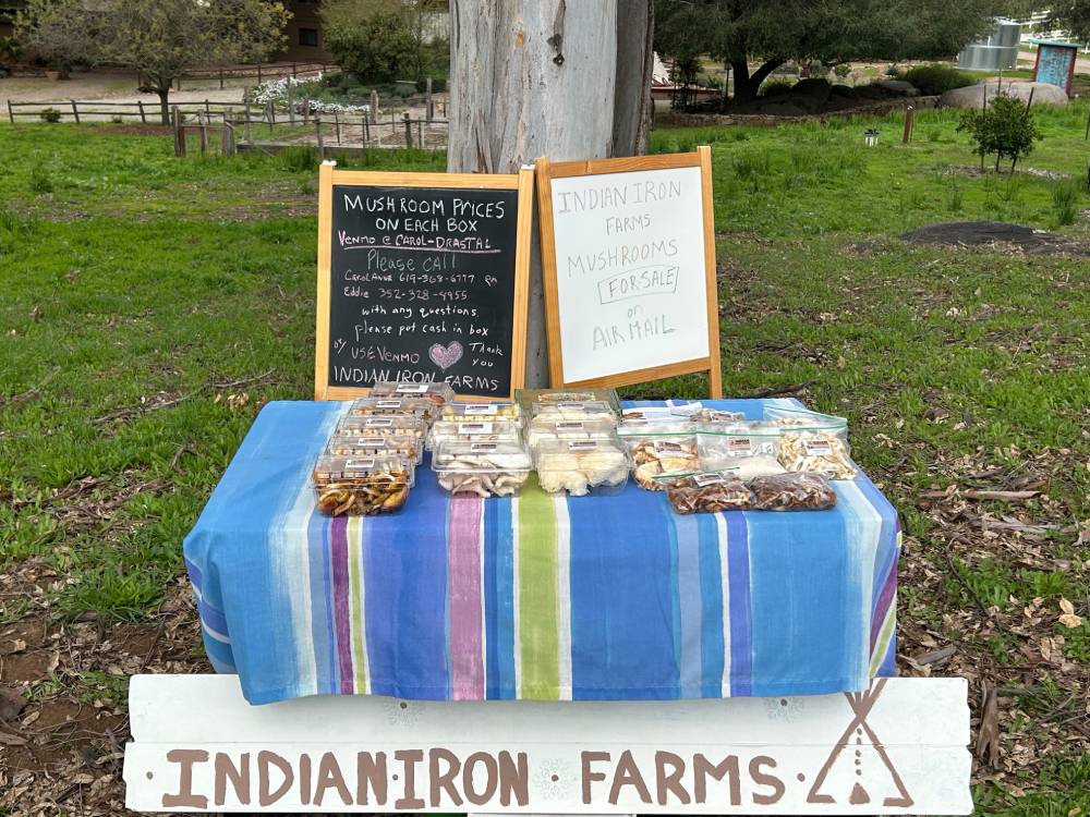 Indian Iron Farms Mushrooms