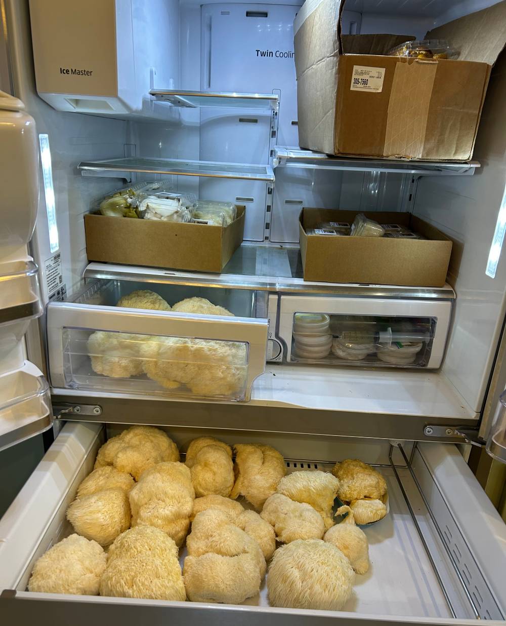 What Carol Anne's fridge looks like with all the mushrooms in it!