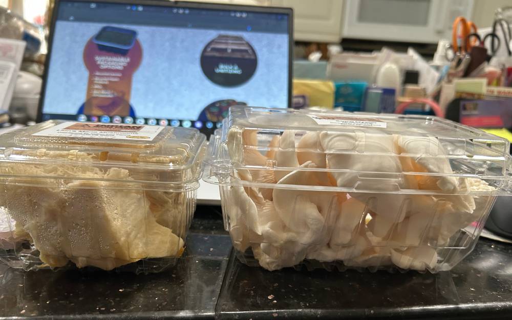 Packaged Mushrooms Two Packaged Mushrooms