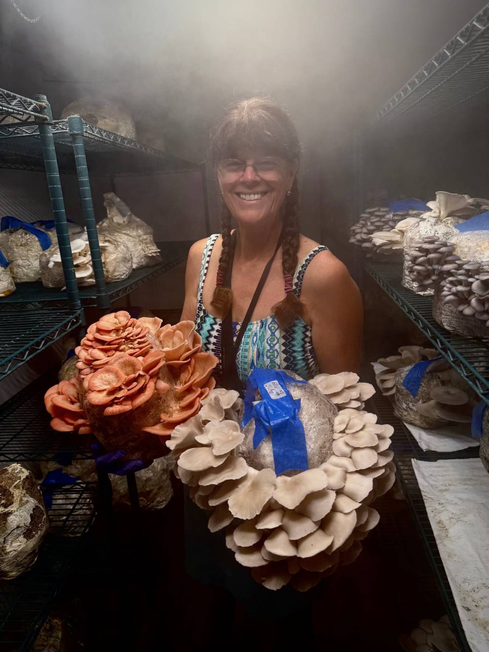 July Pink Oyster Harvest